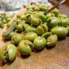 Tüplü İspanyol Bodur Arbequina Zeytin Fidanı 1yaş