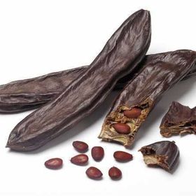 Tüplü Kıbrıs Aşılı Keçi Boynuzu(Harnup) Fidanı