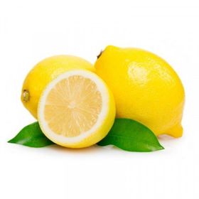 Tüplü Mayer Bodur çiçekli Limon Fidanı