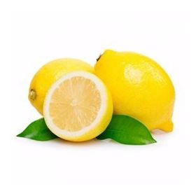 Tüplü Mayer Bodur çiçekli Limon Fidanı