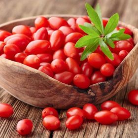 Tüplü Meyve Verme Durumunda Goji Berry Fidanı