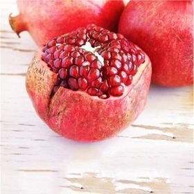 Tüplü Sulu Meyvesi Olan Hicaz Narı Fidanı