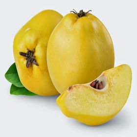 Tüplü Tam Bodur Limon Ayva Fidanı