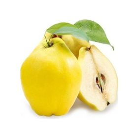 Tüplü Tam Bodur Limon Ayva Fidanı