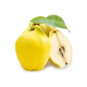 Tüplü Tam Bodur Limon Ayva Fidanı