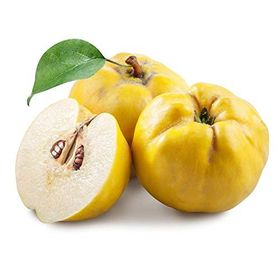 Tüplü Tam Bodur Limon Ayva Fidanı