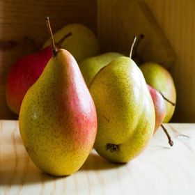 Tüplü Tam Bodur Santa Maria Armut Fidanı