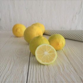Tüplü Tatlı Limon Şeker Limon Fidanı