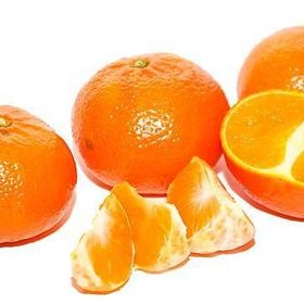 Tüplü Yarı Bodur Erkenci Early N Mandalin Fidanı