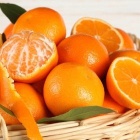 Tüplü Yarı Bodur Erkenci Early N Mandalin Fidanı