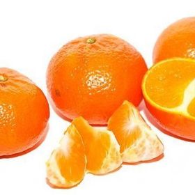 Tüplü Yarı Bodur Erkenci Early N Mandalin Fidanı