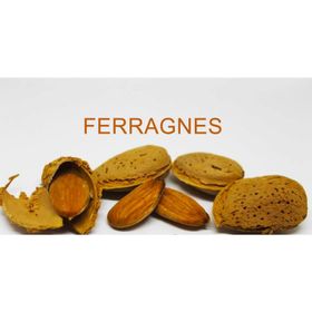 Tüplü Yarı Bodur Ferragnes Badem Fidanı