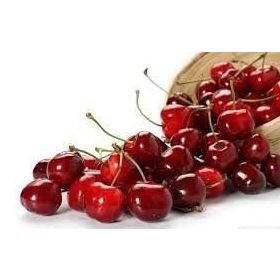 Tüplü Yarı Bodur Lorry Bloom Kiraz Fidanı