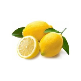 Tüplü Yediveren Limon Fidanı Saksılı