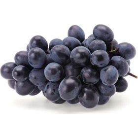 Tüplü Yüksek Verimli Aromalı Autumn Royal Üzüm Asma-Bağ Fidanı
