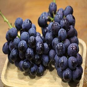 Tüplü Yüksek Verimli Aromalı Autumn Royal Üzüm Asma-Bağ Fidanı