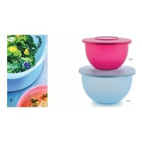 Tupperware 2,5+4,3 lt Eko 2'Li Saklama Kabı Seti