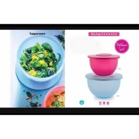 Tupperware 2,5+4,3 lt Eko 2'Li Saklama Kabı Seti