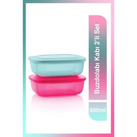 Tupperware 2'li 500 ml Buzdolabı Kabı
