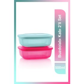 Tupperware 2'li 500 ml Buzdolabı Kabı