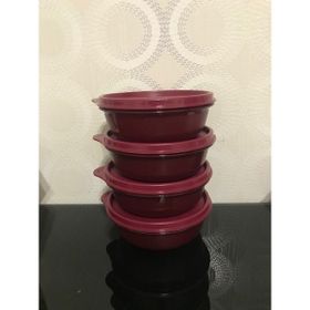 Tupperware 300 ml 4'lü Saklama Kabı