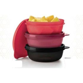 Tupperware 3'lü 300 ml Saklama Kabı