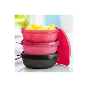 Tupperware 3'lü 300 ml Saklama Kabı