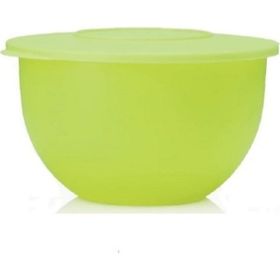 Tupperware 4.3 lt Yeşil Saklama Servis