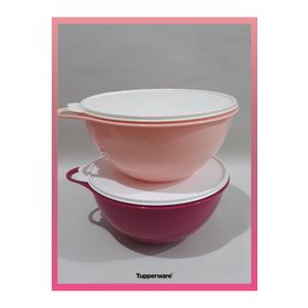 Tupperware 4.5 lt 2'li Mikser Kabı