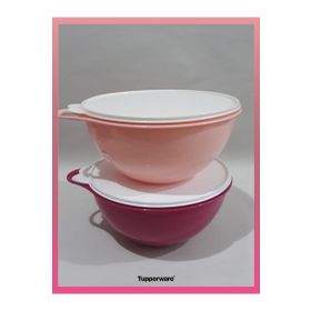 Tupperware 4.5 lt 2'li Mikser Kabı