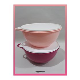 Tupperware 4.5 lt 2'li Mikser Kabı