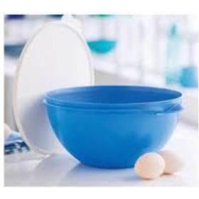 Tupperware 4,5 lt Miksim Hamur Mayalama Saklama Kabı