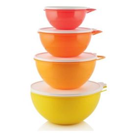 Tupperware 4'lü Miksim Saklama Kabı