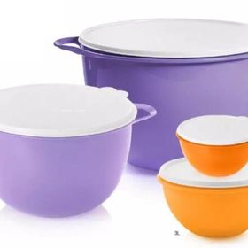 Tupperware 4'lü Miksim Saklama Kabı