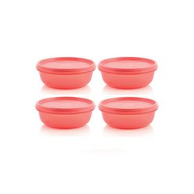 Tupperware 4x300 ml Saklama Kabı