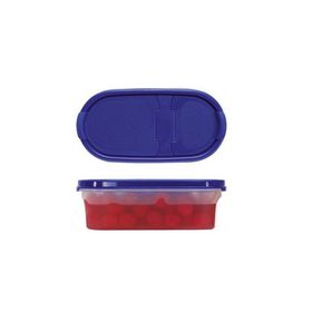 Tupperware 500 ml Oval Kuru Gıda Saklama Kabı