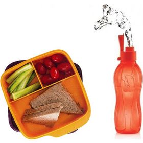 Tupperware 550 ml Bölmeli Beslenme Kutusu 500 ml Suluk