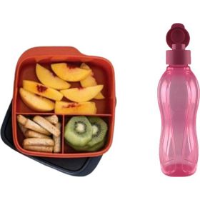 Tupperware 550 ml Bölmeli Beslenme Kutusu 500 ml Suluk