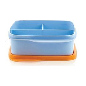 Tupperware 550 ml Bölmeli Beslenme Kutusu