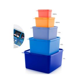 Tupperware 5'li Renkli Dikdörtgen Saklama Kabı