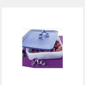 Tupperware Alaska 2.25 lt Saklama Kabı