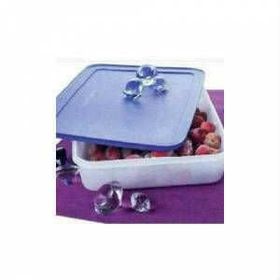 Tupperware Alaska 2.25 lt Saklama Kabı