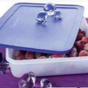 Tupperware Alaska 2.25 Saklama Kabı