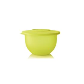 Tupperware Alaska 2.25 Saklama Kabı