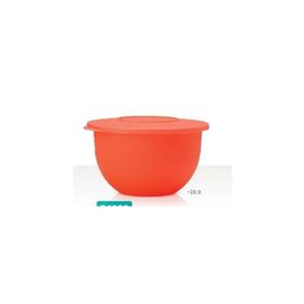 Tupperware Alaska 2.25 Saklama Kabı