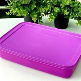 Tupperware Alaska 2,25 lt Mor Saklama Kabı