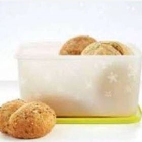 Tupperware Alaska 2,5 lt Saklama Kabı