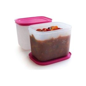 Tupperware Alaska 2'li 1.1 lt Saklama Kabı