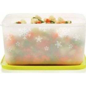 Tupperware Alaska 2x2.5 lt Saklama Kabı