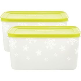 Tupperware Alaska 2x2.5 lt Saklama Kabı